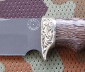 R12korsar6.JPG