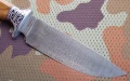 damast_platan_pochwaczekanka4.webp