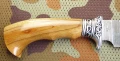 damast_platan_pochwaczekanka5.webp