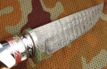 pathfinder8.webp