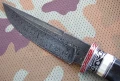 pathfinder2_3.webp