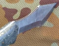 snake5.webp