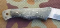 snake6.webp