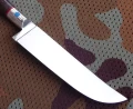 40x13karel1_4.webp
