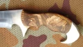 bison3.webp