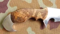 bison4.webp