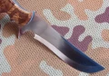 bison6.webp