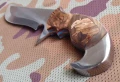 bison10.webp