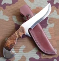 bison11.webp