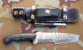 ronin1.webp