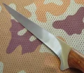 barracuda3.webp