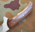barracuda5.webp