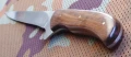 barracuda7.webp