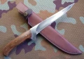 barracuda8.webp