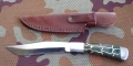 rattlesnake2.webp