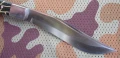 rattlesnake4.webp