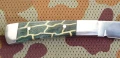 rattlesnake5.webp