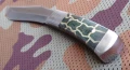 rattlesnake8.webp