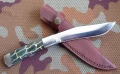 rattlesnake9.webp