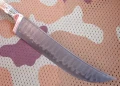 pczak_lam_dmst4.webp