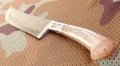 pczak_lam_dmst8.webp