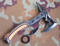 caimanaxe1.webp