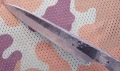 med2_3.webp