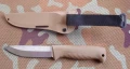 M07_N690coyote2.webp