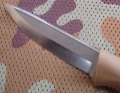 M07_N690coyote3.webp