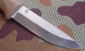 M07_N690coyote4.webp