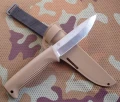 M07_N690coyote8.webp
