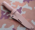 M07_N690coyote10.webp