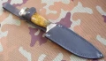 zbik11.webp
