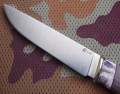 panteraM390klon_mamut3.JPG