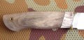 panteraM390klon_mamut5.JPG