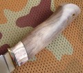 panteraM390klon_mamut7.JPG