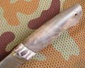 panteraM390klon_mamut8.JPG