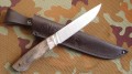 panteraM390klon_mamut10.JPG