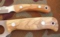 alaska6.webp