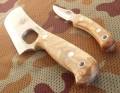 alaska8.webp