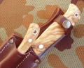 alaska9.webp