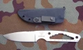 skelet2.webp