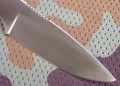 skelet5.webp