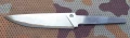 scout_lam2.webp