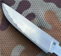 scout_lam2_5.webp