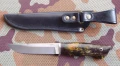 ranger2.webp
