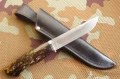 ranger10.webp