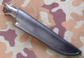 ranger12.webp