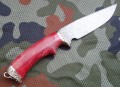 legiondmscstab3.jpg