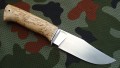 barsuK340_5.jpg